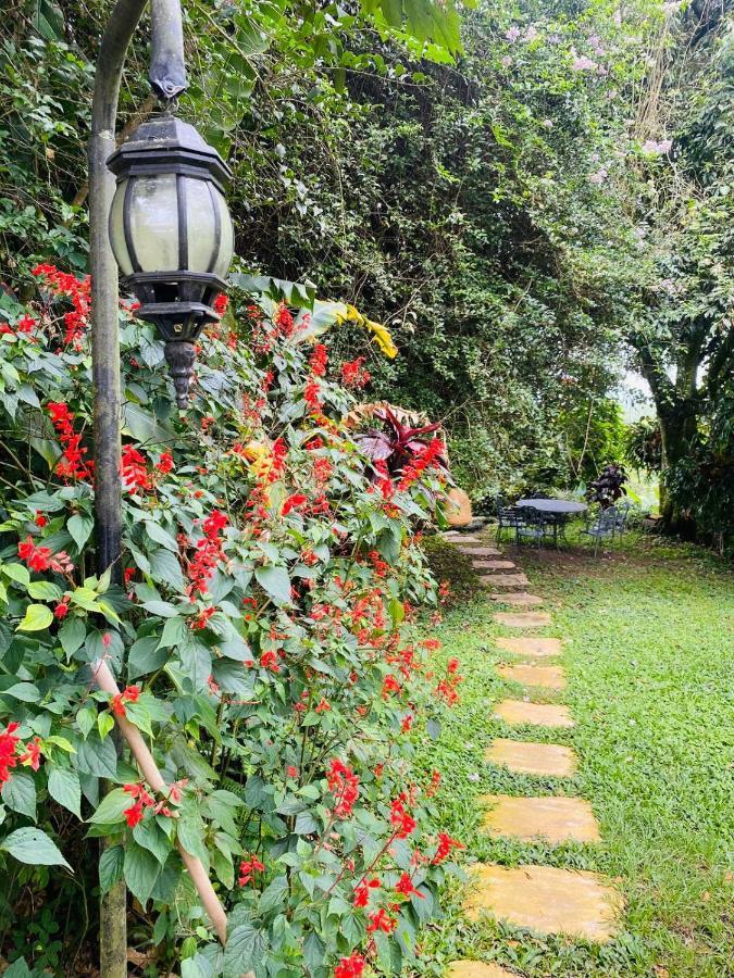 Finca Hotel Los Girasoles Монтенегро Екстер'єр фото