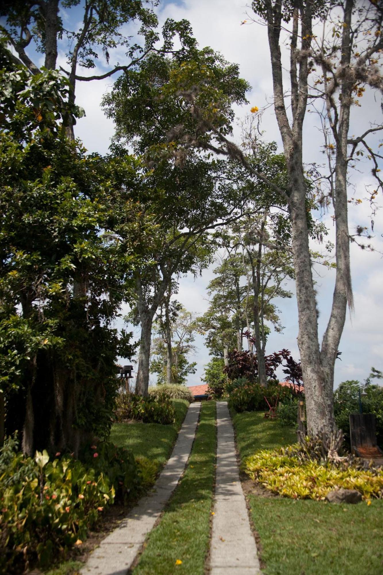 Finca Hotel Los Girasoles Монтенегро Екстер'єр фото